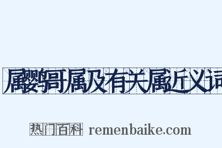 属鹦哥属及有关属近义词是什么意思的图片